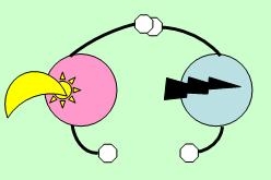 Main droite / main gauche